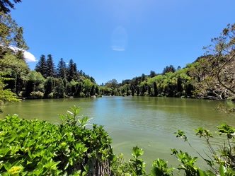 Lago Negro em Gramado com vegetação ao redor