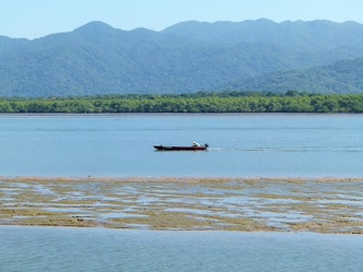 Paisagem de Ilha Comprida com vegetação e rio