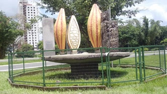 Produção de cacau na região de Itabuna
