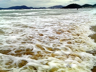 Praia Brava, Itajaí, com Balneário Camboriú ao fundo Praia Brava, Itajaí