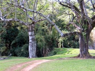 Detalhe da Fazenda Capoava em Itu