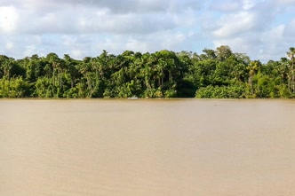 Foz do Rio Amazonas