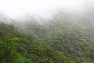 Ponte São João, Serra do Mar