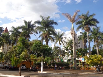 Praça da Matriz de Patrocínio Praça da Matriz, Patrocínio