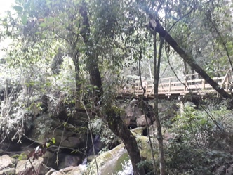Ponte Velha, patrimônio histórico da cidade Ponte Velha sobre o Rio Ponta Grossa