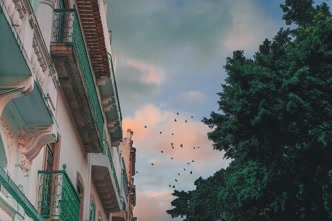 Rua do Recife Antigo com casarões coloniais