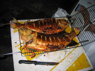 Culinária mato-grossense e japonesa em Sinop Gastronomia típica de Sinop