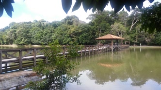 Parque Ecológico de Sinop Parque Ecológico de Sinop